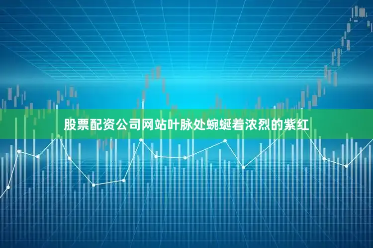 股票配资公司网站叶脉处蜿蜒着浓烈的紫红