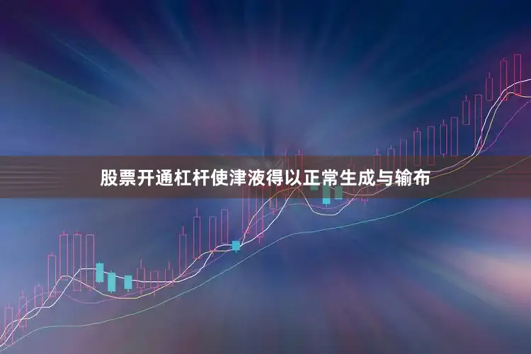 股票开通杠杆使津液得以正常生成与输布