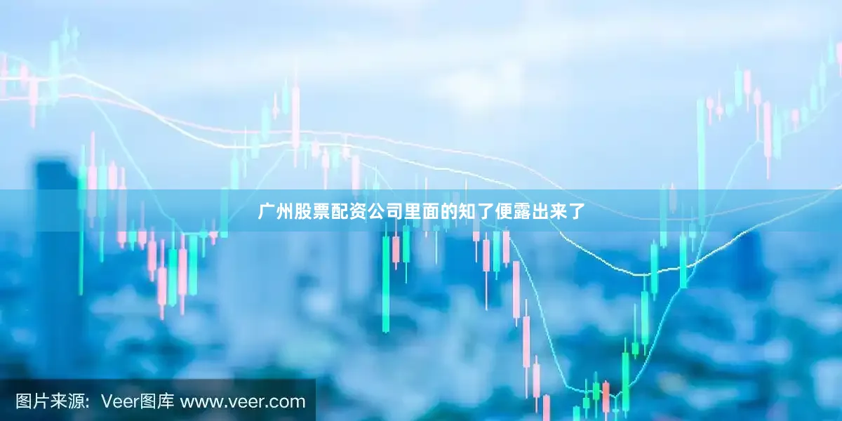 广州股票配资公司里面的知了便露出来了